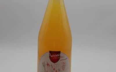 JUS DE POMME CITRON VERT 100CL