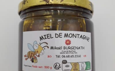 MIEL DE MONTAGNE 500GRS