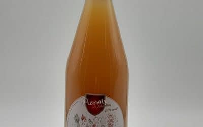 JUS DE POIRE GINGEMBRE 100 CL
