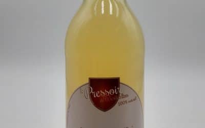 JUS DE POMME BANANE KIWI 0.25CL