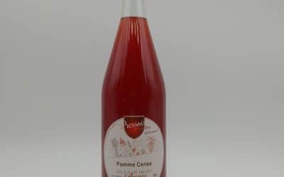 JUS DE POMME CERISE 100CL
