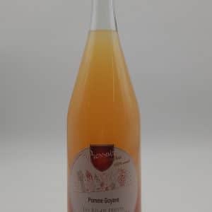 Pomme Goyave 1L