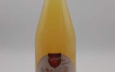 JUS DE POMME BANANE KIWI  100 CL