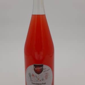 Pomme Betterave carotte cèleri