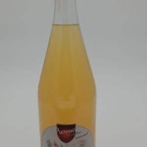 Pomme Gingembre 1L