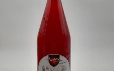 JUS DE POMME CASSIS 100CL